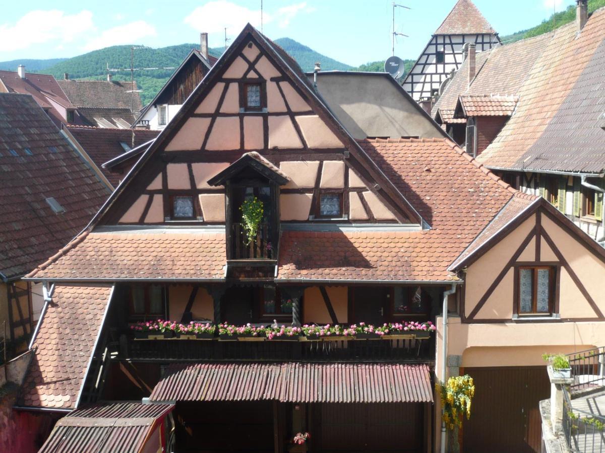 Appartement le seigle à Kaysersberg-Vignoble Extérieur photo